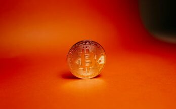 Binance Coin: Fueling The Binance Ecosystem And DeFi Transactions
