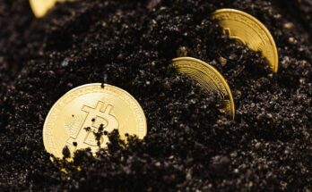 Solaxy: An Emerging Or Unverified Cryptocurrency