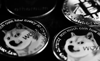 Dogecoin: The Meme-Inspired Peer-to-Peer Digital Currency
