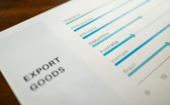 XRP: Streamlining Global Cross-Border Payments”