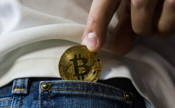 Bitcoin (BTC)